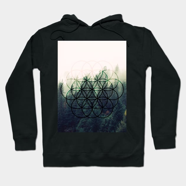 Forest Fog Hoodie by UrbanEpiphany